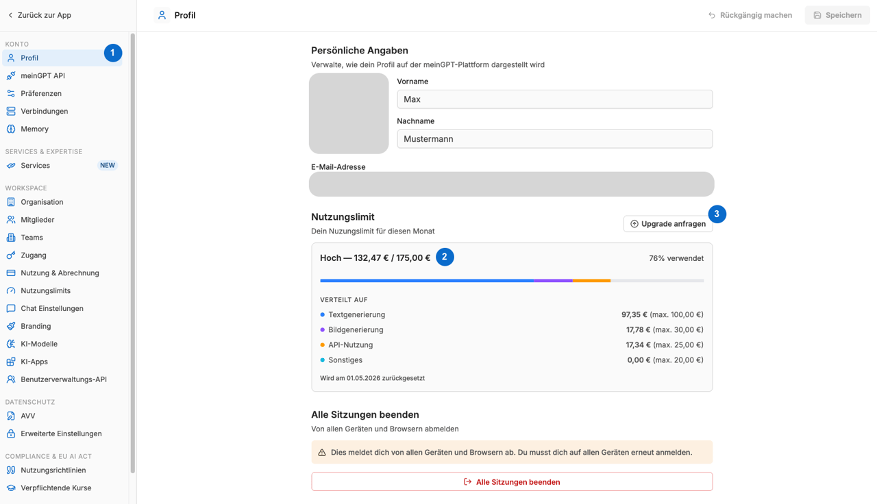 View usage limits in the profile